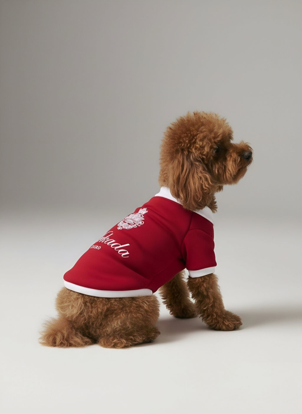 Burgundy puppies' baseball jacket
