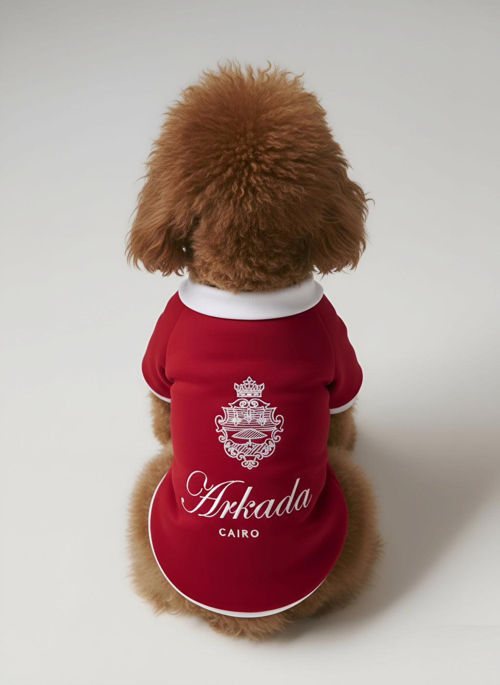 Burgundy puppies' baseball jacket